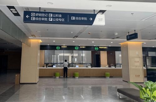 朝阳区新地标——蓬莱新政务服务中心高清实景图惊艳亮相，引领政务服务新风尚